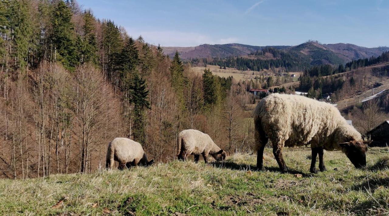 Penzion Rzehaczek Dolní Lomná Extérieur photo