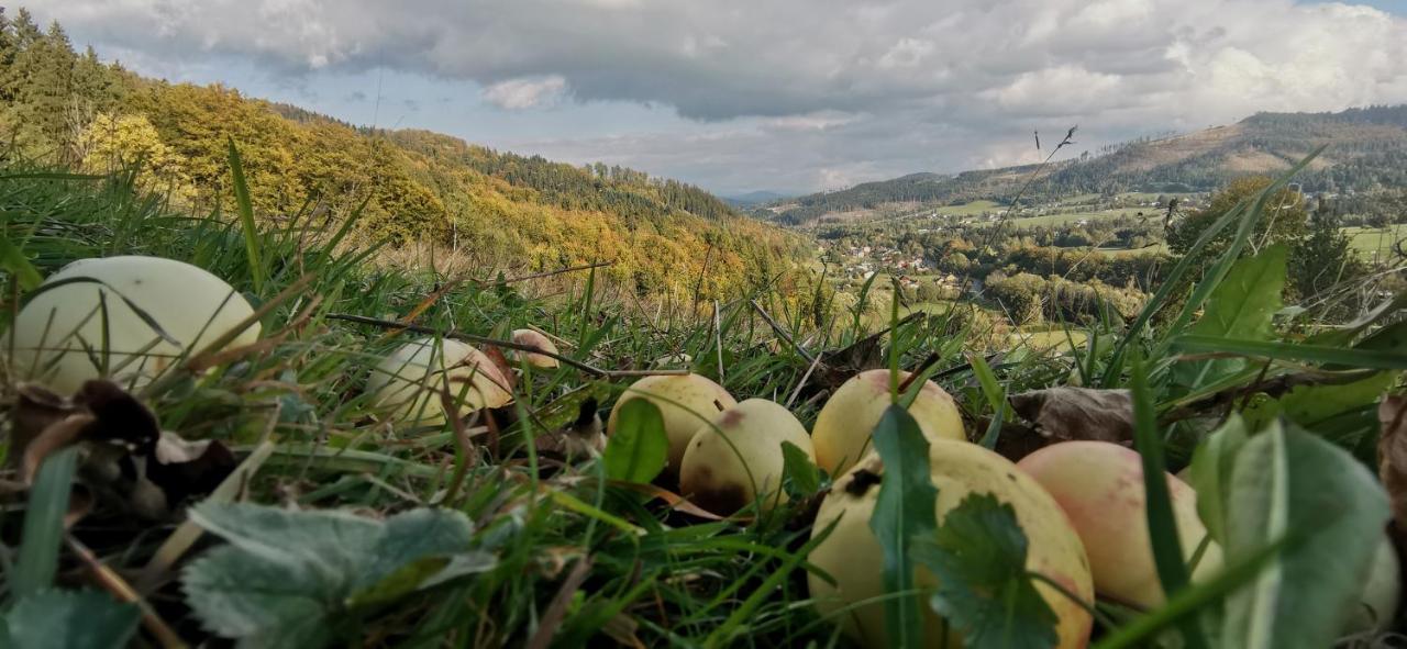 Penzion Rzehaczek Dolní Lomná Extérieur photo