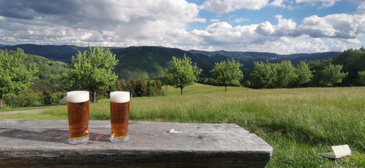 Penzion Rzehaczek Dolní Lomná Extérieur photo